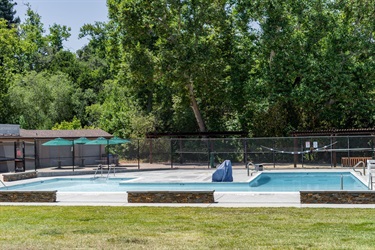 Blackberry Farm Pool
