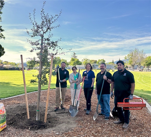 Tree-Planting.png