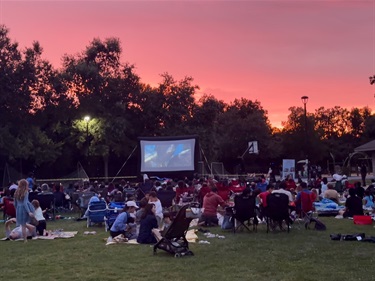 Movies in the Park