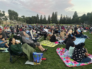 Movies in the Park