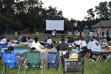 Movies in the Park