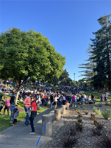 Summer Concert Series