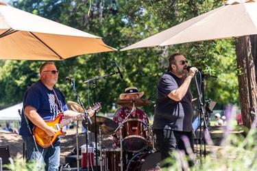 Summer Concert Series